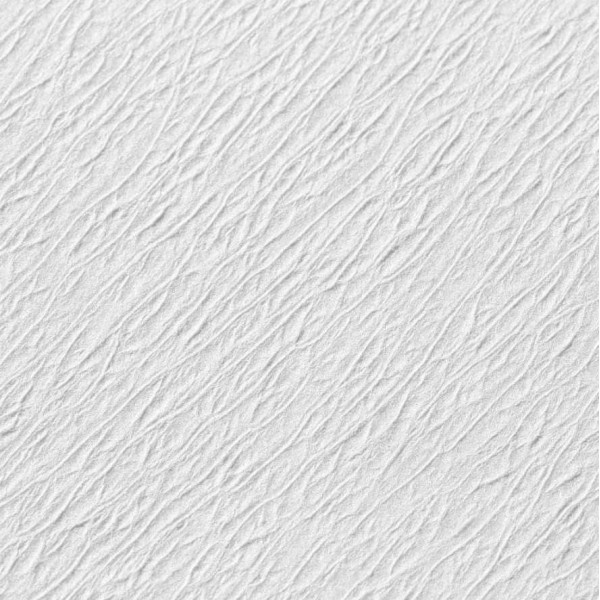 TRAY PAPER