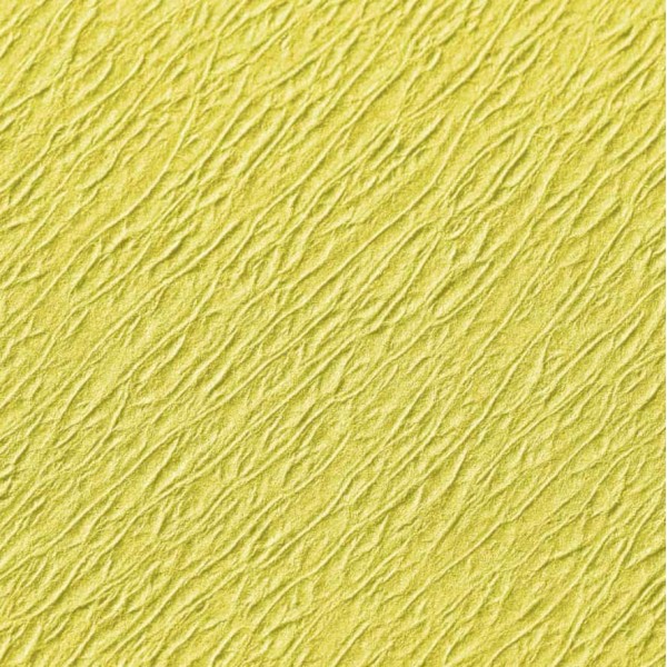 TRAY PAPER