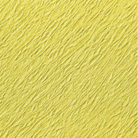TRAY PAPER
