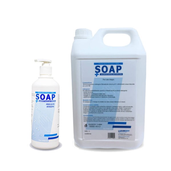 LH AMEDICS SOAP